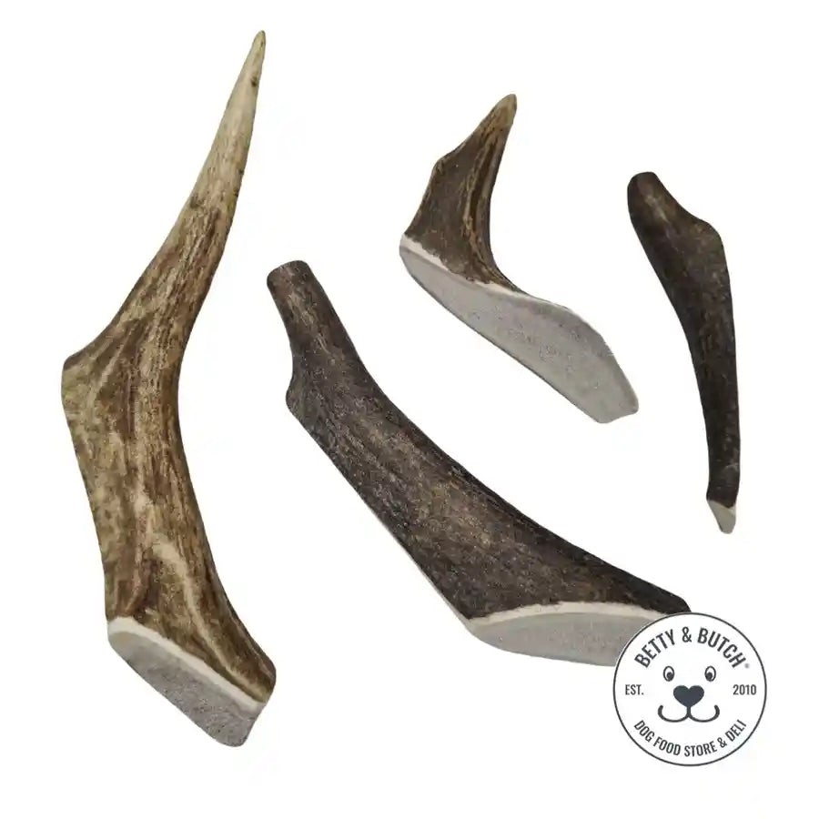 Red Deer Antler Chew for Dogs - Split for Dog Dental Health and Care - BETTY & BUTCH®