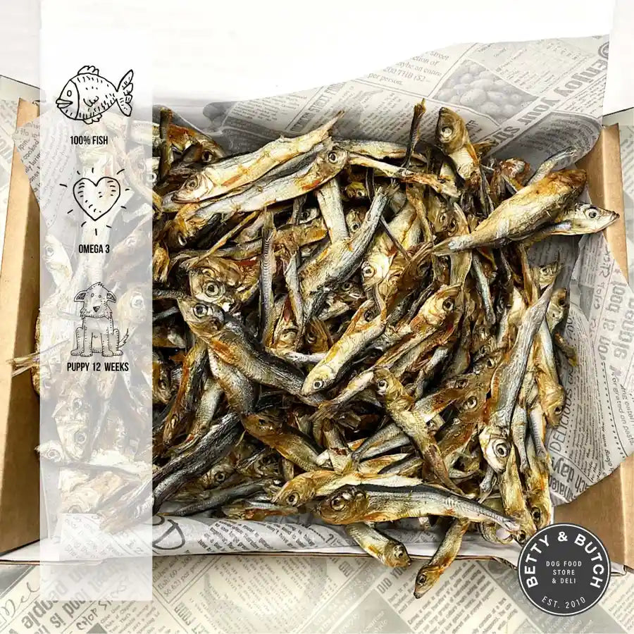 Sprat Box Premium Baltic Sprats for Dogs 100 Fish Dog Food